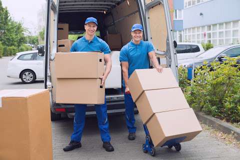Jobs in 5 STAR MOVERS LLC - reviews