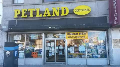Jobs in Petland Discounts - Westchester Sq. - reviews