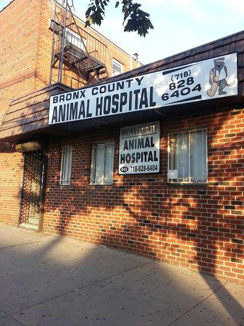 Jobs in Bronx County Animal Hospital - reviews